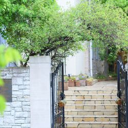 マリーグレイスの写真12枚目