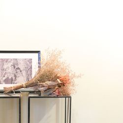 マリーグレイスの写真33枚目