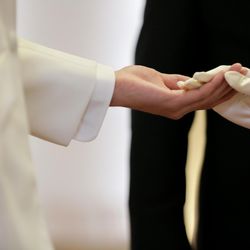 アルタビスタ ガーデンの写真31枚目