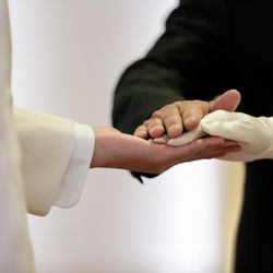 アルタビスタ ガーデンの写真24枚目