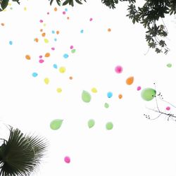 アルタビスタ ガーデンの写真7枚目