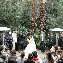 アルタビスタ ガーデンの写真28枚目