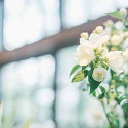 古我邸の写真2枚目