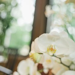 古我邸の写真19枚目