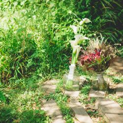 古我邸の写真9枚目