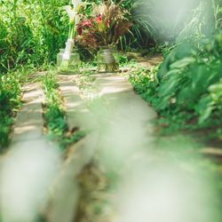 古我邸の写真34枚目