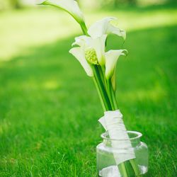 古我邸の写真18枚目