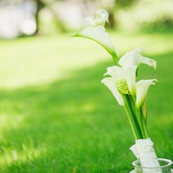 古我邸の写真18枚目
