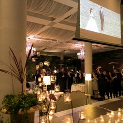 Mia Viaの写真16枚目