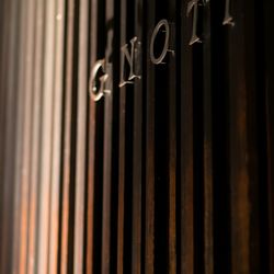 Mia Viaの写真24枚目