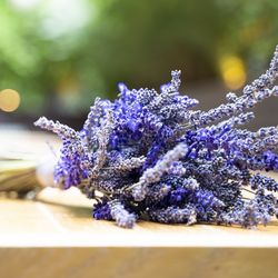 TRUNK HOTELの写真19枚目