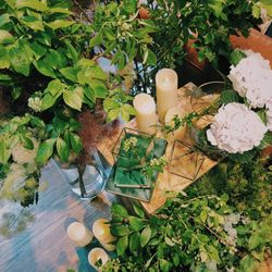 TRUNK HOTELの写真28枚目