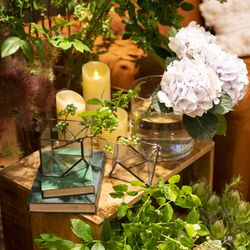 TRUNK HOTELの写真4枚目