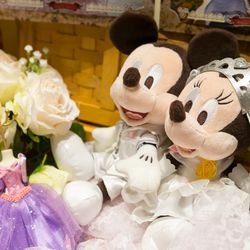 アニヴェルセル 東京ベイの写真20枚目