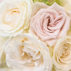 アニヴェルセル 東京ベイの写真18枚目