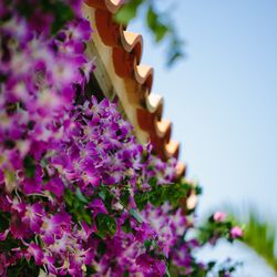 グランヴィリオホテルの写真3枚目