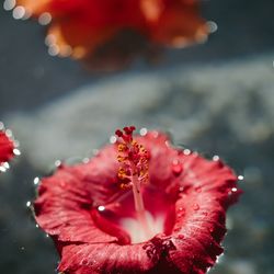 グランヴィリオホテルの写真30枚目