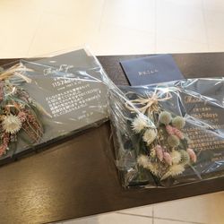 Mia Viaの写真19枚目