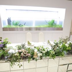 Mia Viaの写真21枚目