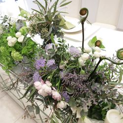 Mia Viaの写真11枚目