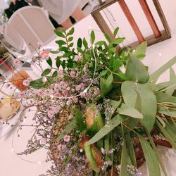 Mia Viaの写真21枚目