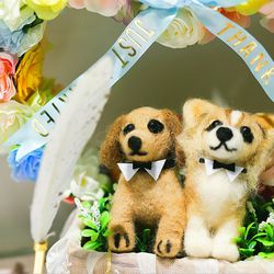 アルカンシエル ベリテ 大阪の写真6枚目