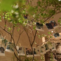 ザ・テンダーハウスの写真16枚目