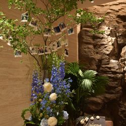 ザ・テンダーハウスの写真29枚目