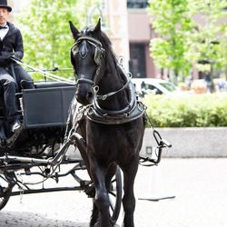 ウェスティンホテル東京の写真27枚目