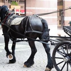 ウェスティンホテル東京の写真35枚目