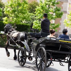 ウェスティンホテル東京の写真26枚目