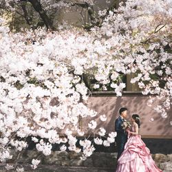 ROKUSISUI KYOTO OKAZAKIの写真7枚目