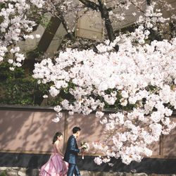 ROKUSISUI KYOTO OKAZAKIの写真8枚目