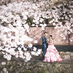 ROKUSISUI KYOTO OKAZAKIの写真26枚目