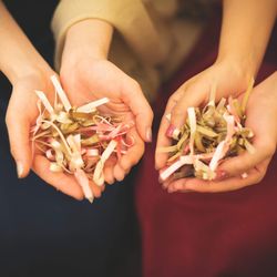 ROKUSISUI KYOTO OKAZAKIの写真17枚目