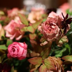 コンラッド東京の写真30枚目