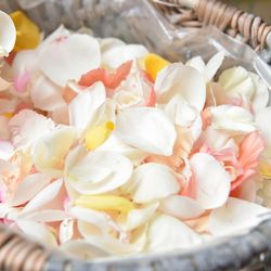 千里阪急ホテル CLASSIC GARDENの写真10枚目