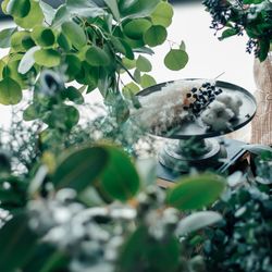 ampersand By LAGUNAVEIL ATELIERの写真27枚目