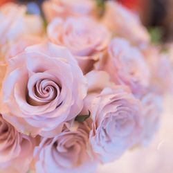 オリエンタルホテル 神戸・旧居留地の写真5枚目