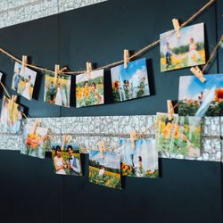 青山セントグレース大聖堂の写真16枚目