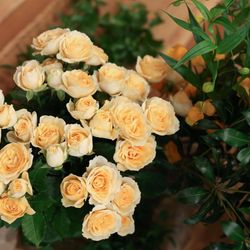 ヴィラ・デ・マリアージュ 宇都宮の写真11枚目