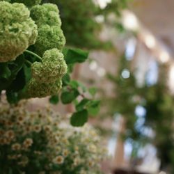 ヴィラ・デ・マリアージュ 宇都宮の写真8枚目