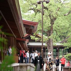 明治神宮・明治記念館の写真8枚目