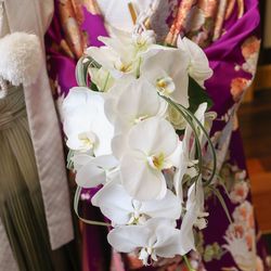 百花籠の写真24枚目