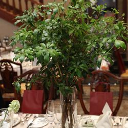 百花籠の写真36枚目