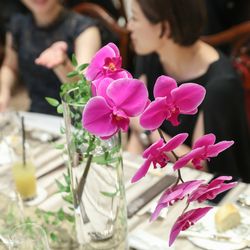 百花籠の写真36枚目