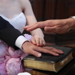 百花籠の写真5枚目