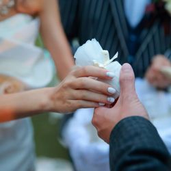 横浜うかい亭の写真34枚目