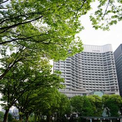 パレスホテル東京の写真3枚目