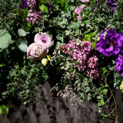 パレスホテル東京の写真24枚目